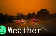 California Wildfires: Thick Smoke Turns San Francisco Bay Area Sky Orange