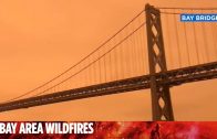 Dramatic-orange-hazy-skies-seen-all-across-San-Francisco-Bay-Area